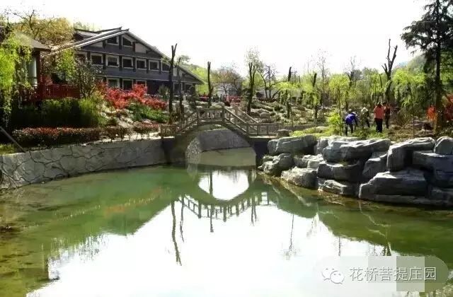 這個周末，隴南康縣花橋有大事要發(fā)生？