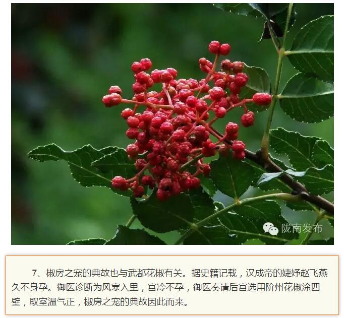 蘭渝鐵路最早由孫中山先生提出？在隴南，你不知道的事兒還有……