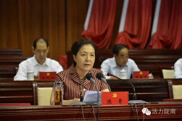 隴南市紀念建黨95周年暨表彰大會隆重召開