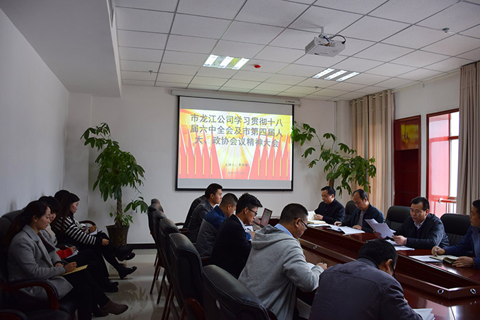 市龍江公司召開(kāi)全體員工大會(huì)，專(zhuān)題傳達(dá)學(xué)習(xí)上級(jí)會(huì)議精神