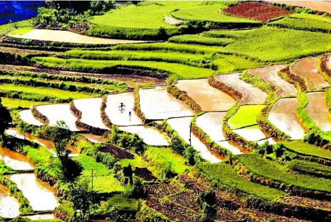 財政部 國務(wù)院扶貧辦發(fā)文進一步推進貧困縣統(tǒng)籌整合使用財政涉農(nóng)資金工作