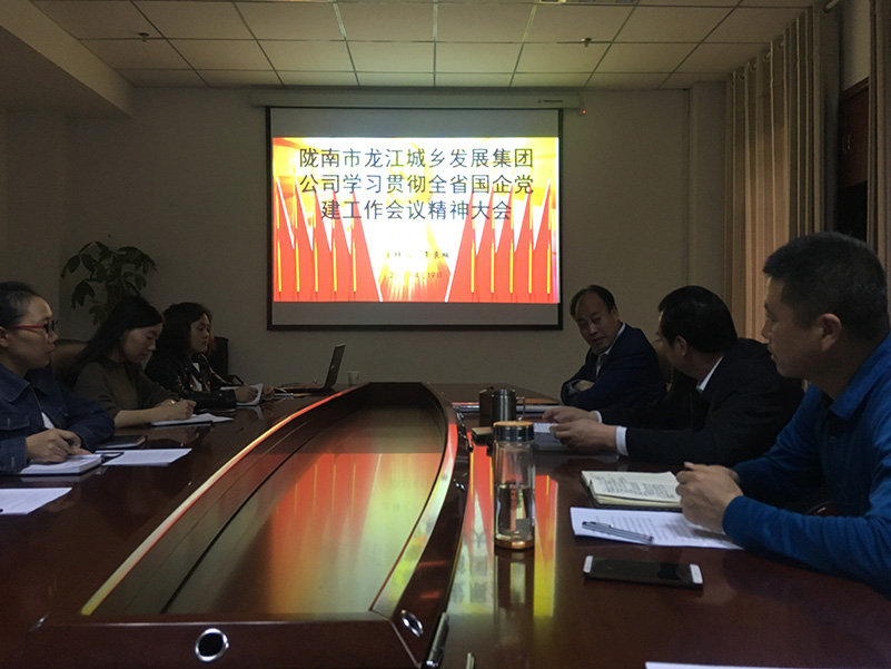 市龍江城鄉(xiāng)發(fā)展集團公司召開全省 國有企業(yè)黨的建設(shè)工作會議精神學(xué)習(xí)會議