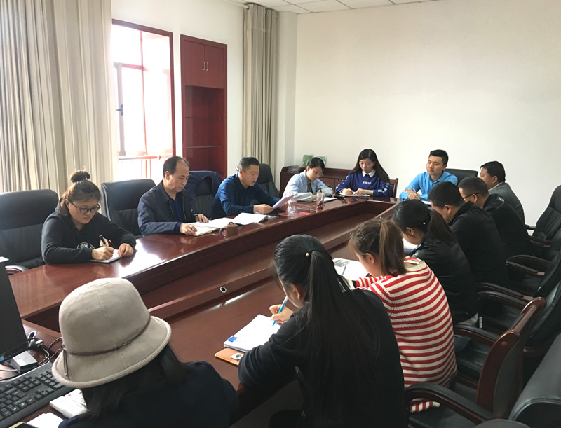 市龍江城鄉(xiāng)發(fā)展集團(tuán)專題學(xué)習(xí)近期中央、省、市紀(jì)律檢查委員會(huì)議精神