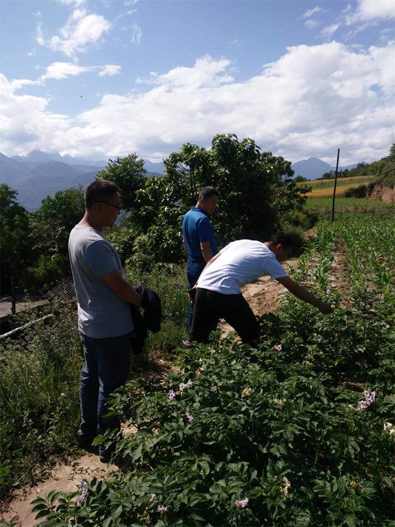 市龍江城鄉(xiāng)發(fā)展集團(tuán)深入幫扶村開(kāi)展突出問(wèn)題排查整改落實(shí)工作