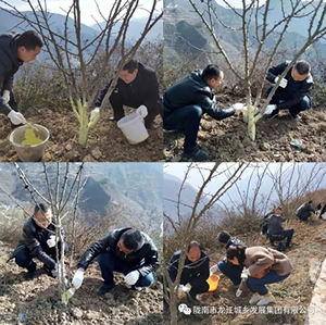 市龍江集團(tuán)在文縣橋頭鎮(zhèn)安子坡村開(kāi)展“解難題、辦實(shí)事、送溫暖”活動(dòng)