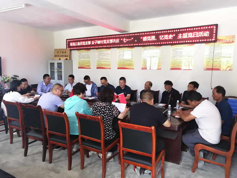 “感黨恩、憶黨史”，--市龍江城鄉(xiāng)發(fā)展集團(tuán)公司開(kāi)展慶祝建黨99周年主題黨日活動(dòng)