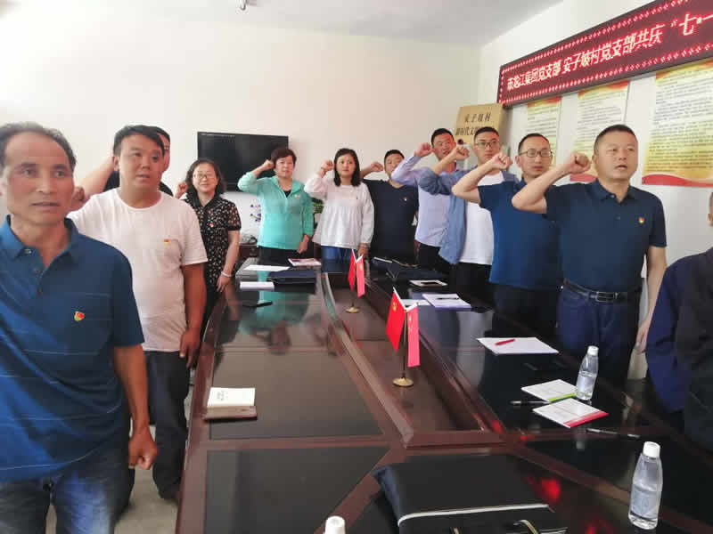 “感黨恩、憶黨史”，--市龍江城鄉(xiāng)發(fā)展集團(tuán)公司開(kāi)展慶祝建黨99周年主題黨日活動(dòng)