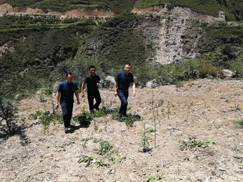 “感黨恩、憶黨史”，--市龍江城鄉(xiāng)發(fā)展集團(tuán)公司開(kāi)展慶祝建黨99周年主題黨日活動(dòng)